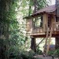 树屋